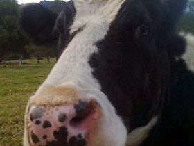 2012-07-27-4 Mary (c) Joanne Bush.jpg